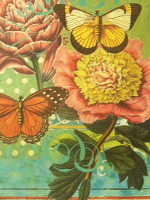 butterflies3.jpg